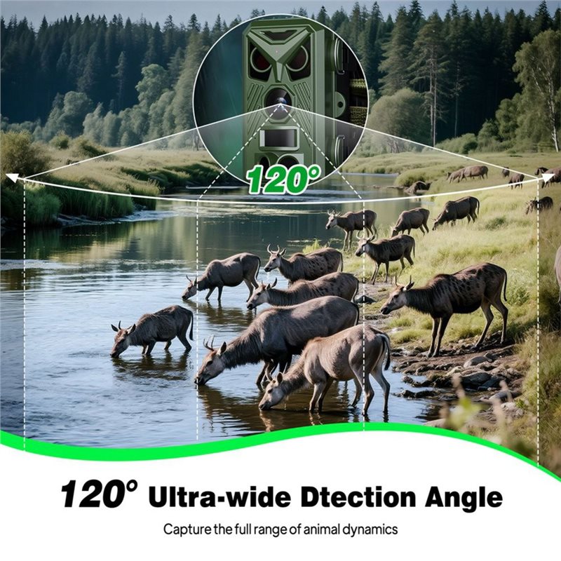 BTLIFE-Wildlife Surveillance 1 - Trail Camera Infrared 评论和价格