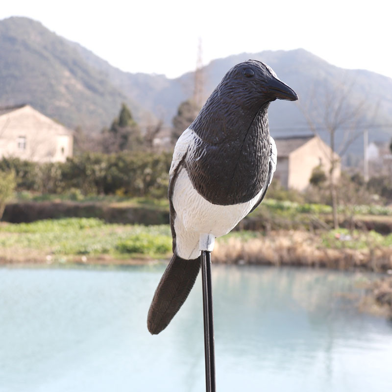 GUGULUZA Hunting Decoy Magpie  - Hunting Outdoor Decor 评论和价格