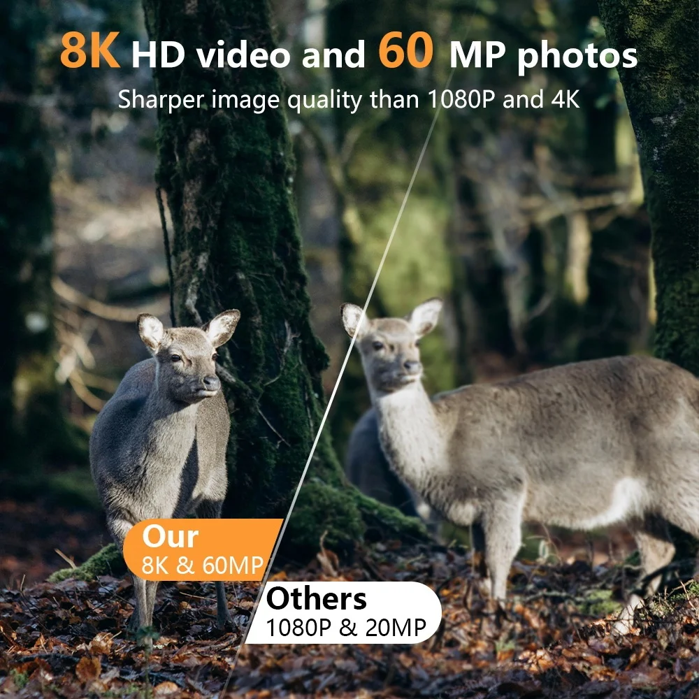 PR803W 8K WiFi Trail Camera -  - Trail Camera Infrared 评论和价格