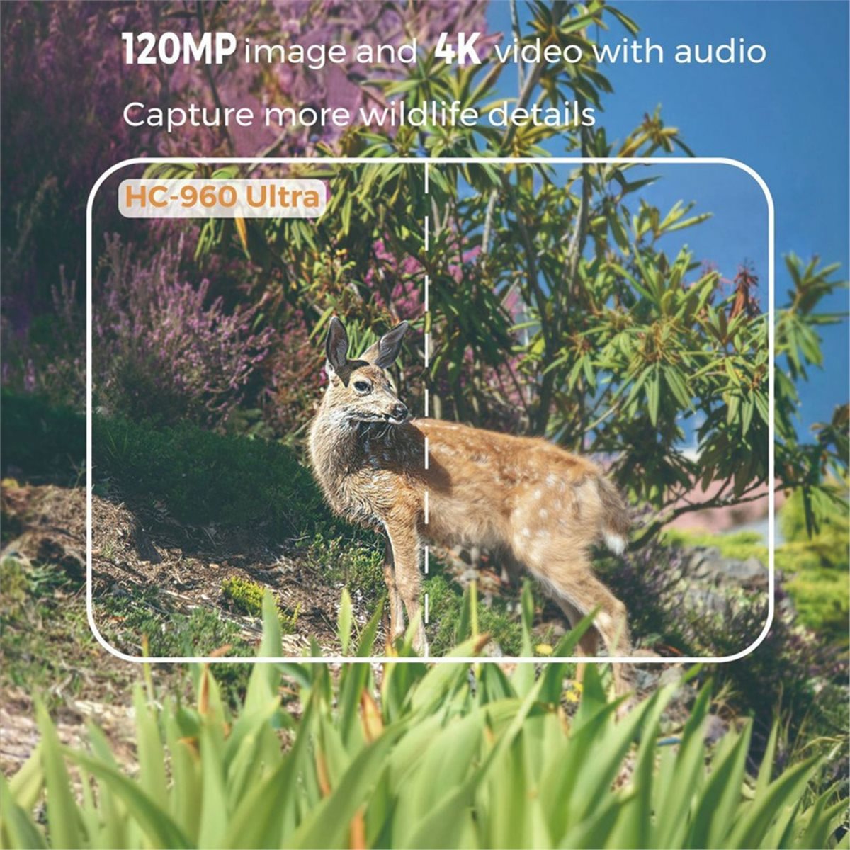 update. Outdoor 4G 120MP 4K Li - Hunting And Outdoor Shows 评论和价格