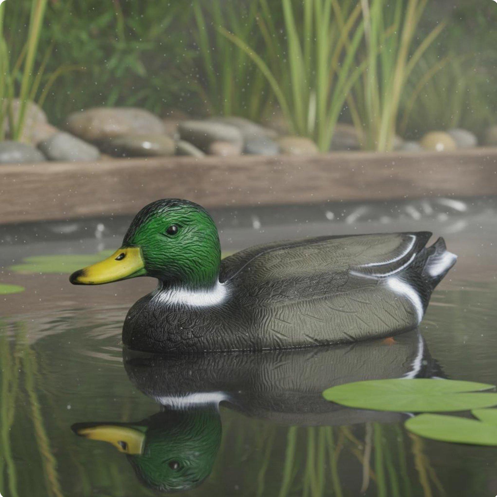 Floating Duck Decoy Realistic  - Hunting & Outdoor As 评论和价格