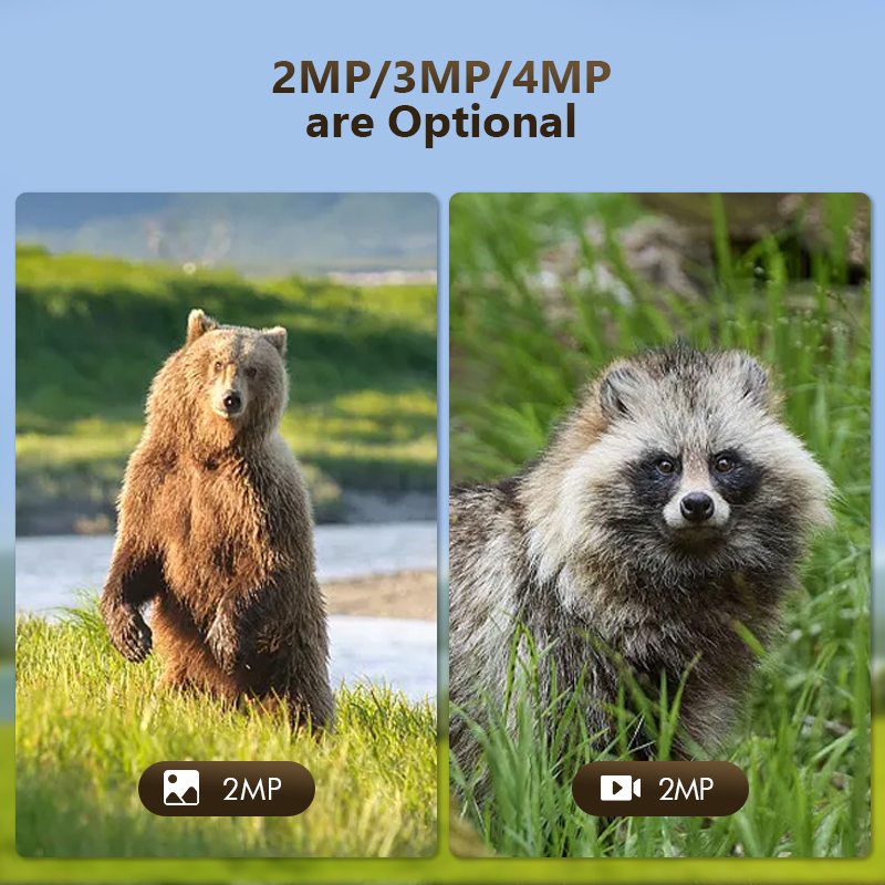 4G 4MP Outdoor Wildlife Huntin - Trail Camera Infrared 评论和价格