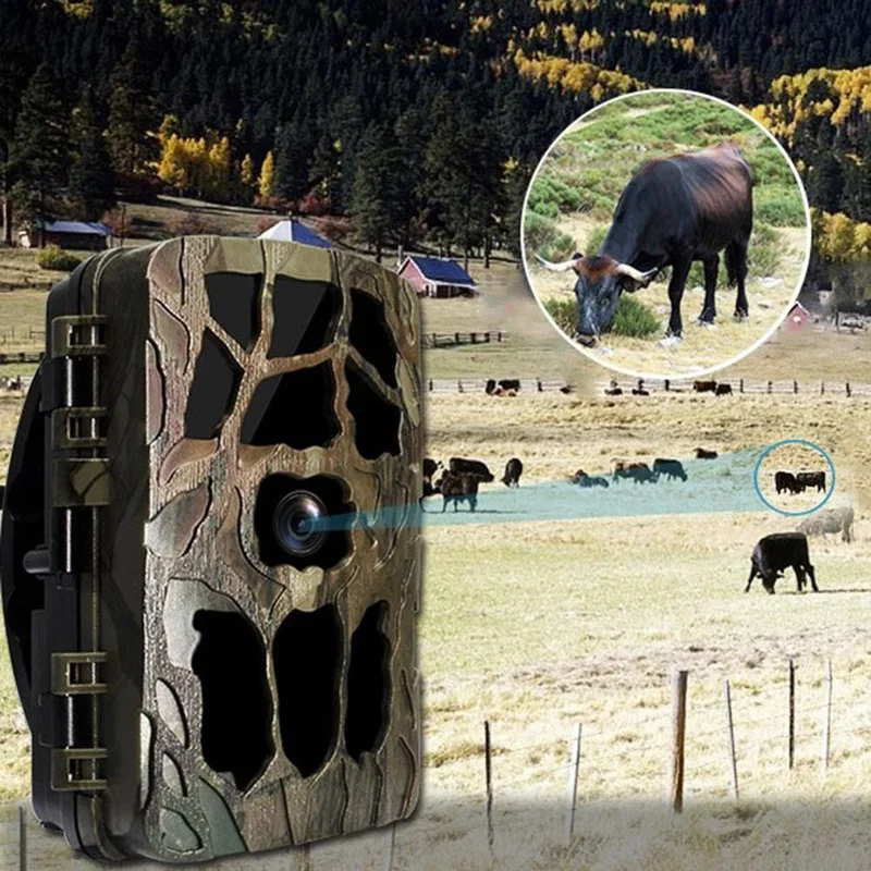 H982 IP66 Waterproof 4K Outdoo - Trail Camera Infrared 评论和价格