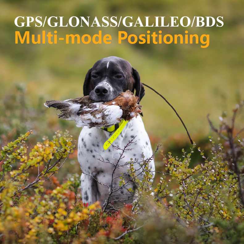 Global GPS Pet Tracker Real Ti - Outdoor Hunting Dog Supply 评论和价格